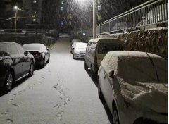 青島！大雪！大愛！