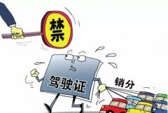 青島的朋友們注意啦，9月起禁止使用他人駕照銷