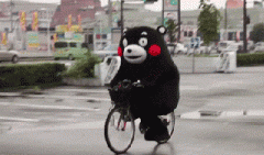 青島也有“共享單車”啦！說(shuō)騎就騎的旅程GO