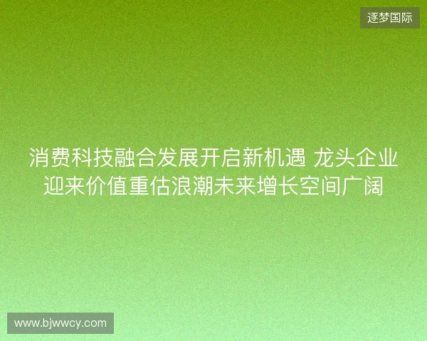 消费科技融合发展开启新机遇 龙头企业迎来价值重估浪潮未来增长空间广阔 消费科技融合发展开启新机遇 龙头企业迎来价值重估浪潮未来增长空间广阔