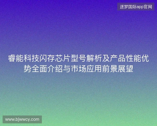 睿能科技闪存芯片型号解析及产品性能优势全面介绍与市场应用前景展望