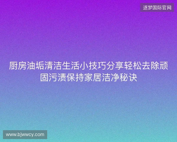 厨房油垢清洁生活小技巧分享轻松去除顽固污渍保持家居洁净秘诀 厨房油垢清洁生活小技巧分享轻松去除顽固污渍保持家居洁净秘诀